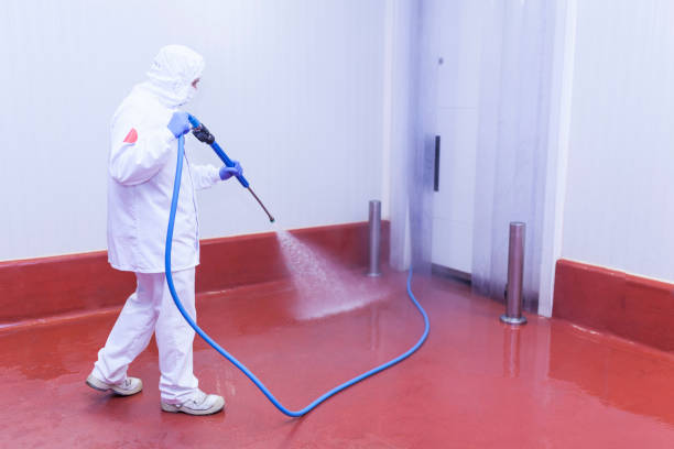 Best Patio and Deck Pressure Washing  in Rutherford, PA